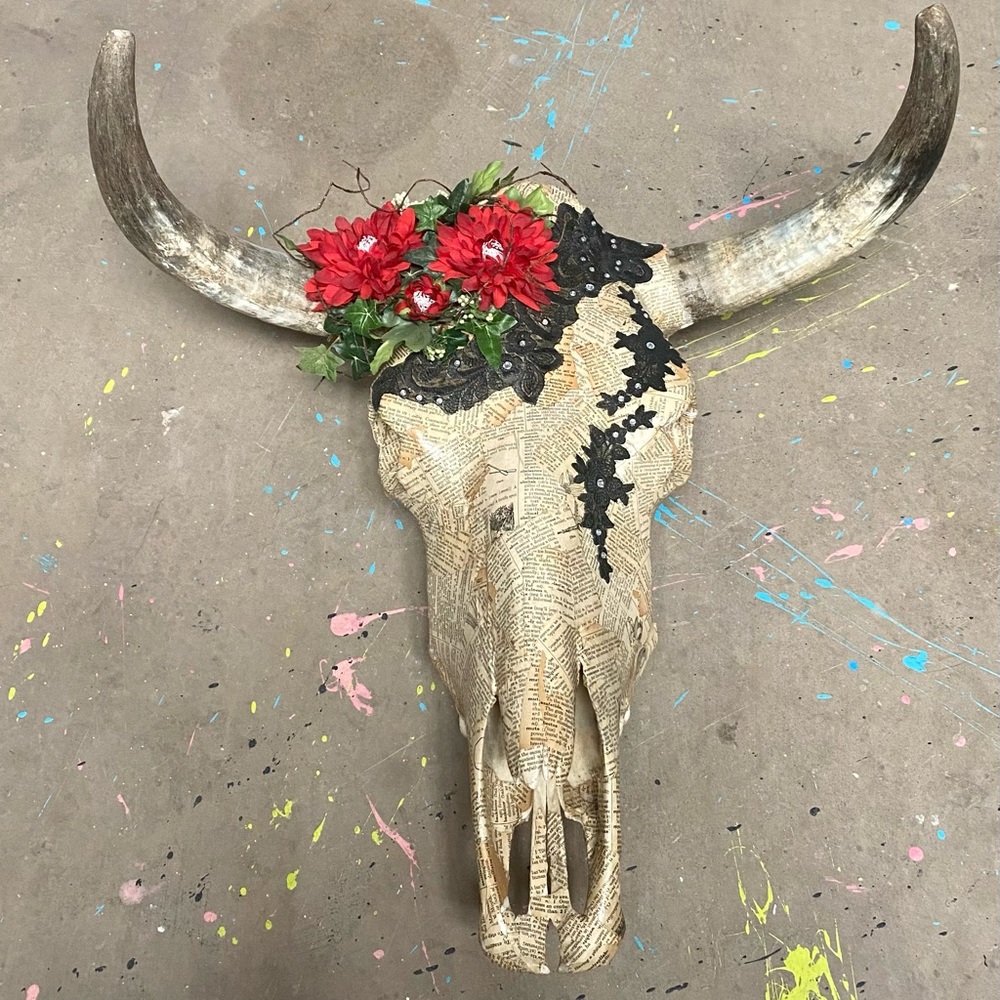 Beautiful Authentic Cow Skull